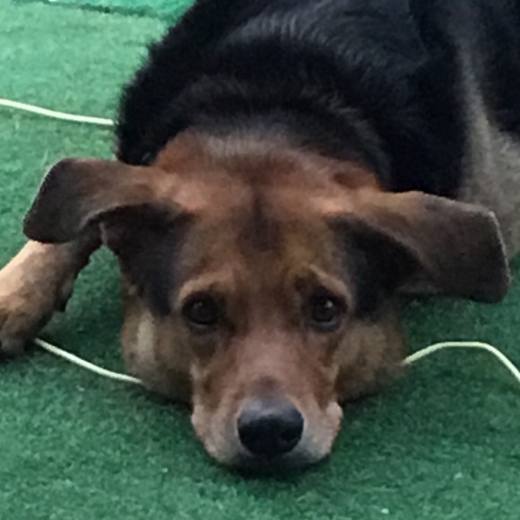 Meet your Posher, Michael - Picture 1 of 1